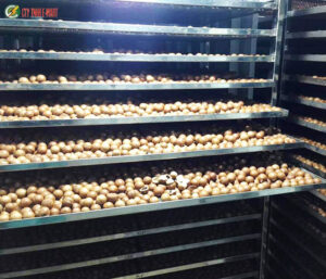Máy sấy nông sản dùng công nghệ nhiệt thấp