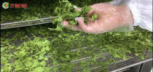 máy sấy nông sản