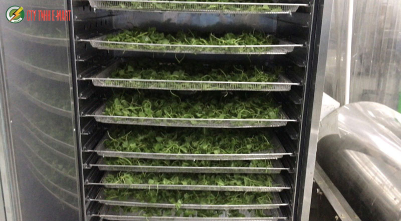 lò sấy nông sản