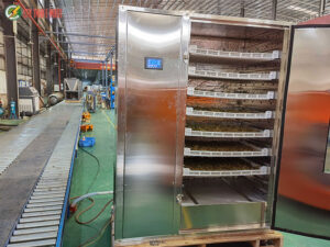 máy sấy nông sản dạng tĩnh và dạng băng tải