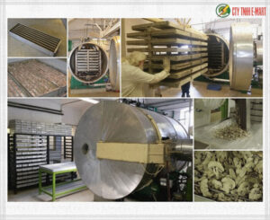 lò sấy công nghiệp