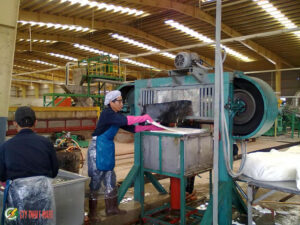 Các yếu tố ảnh hưởng đến hiệu suất sấy của lò vi sóng công nghiệp