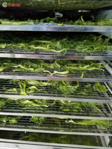 máy sấy nông sản