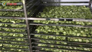 Ứng dụng lò sấy vi sóng trong chế biến rau củ xuất khẩu