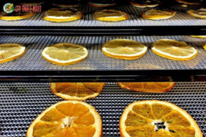 máy sấy nông sản