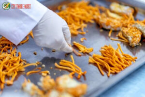 máy sấy nông sản