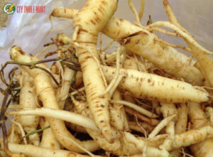 lò sấy nông sản