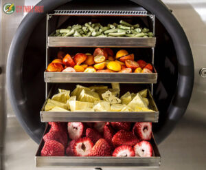 máy sấy thăng hoa