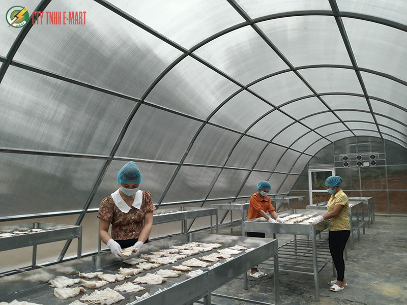 Máy sấy nông sản dùng năng lượng mặt trời là gì?