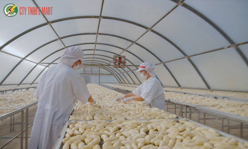 máy sấy nông sản