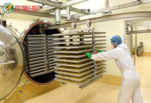 máy sấy thực phẩm