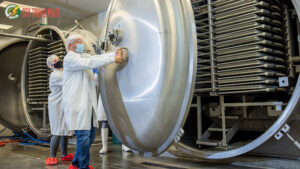 máy sấy thực phẩm