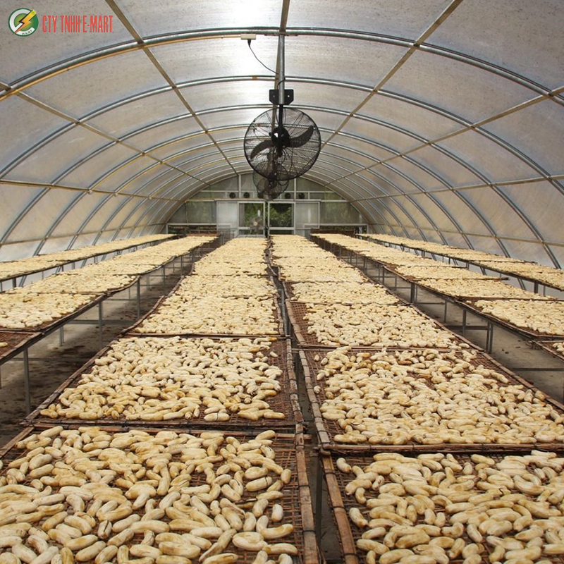 máy sấy nông sản