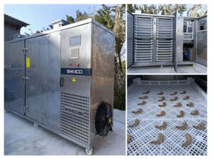 máy sấy lạnh công nghiệp