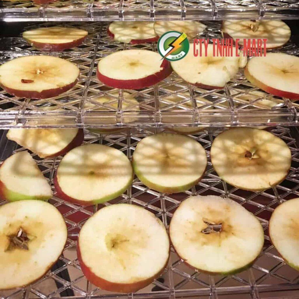 Công nghệ sấy vi sóng hiện nay 1