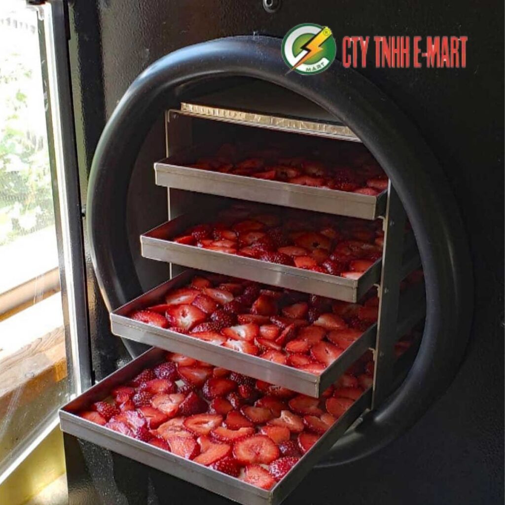 Công nghệ sấy vi sóng hiện nay