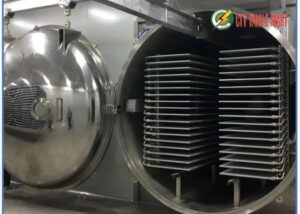 máy sấy thực phẩm