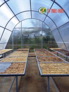 lò sấy năng lượng mặt trời