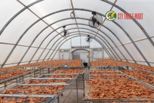 máy sấy thực phẩm