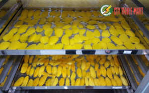 Máy sấy nông sản dùng công nghệ nhiệt thấp