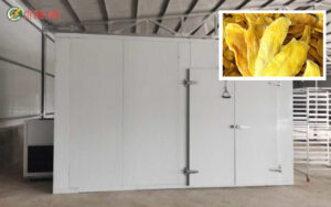 máy sấy thực phẩm