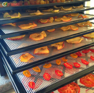 máy sấy thực phẩm