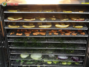 máy sấy nông sản