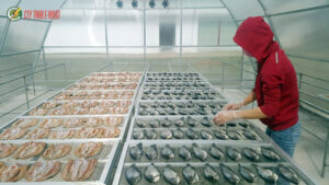 máy sấy thực phẩm