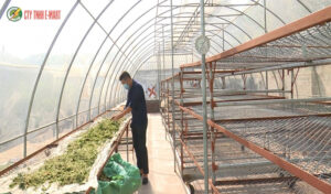 sấy năng lượng mặt trời