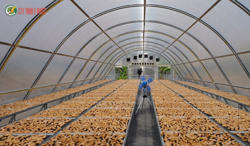 sấy năng lượng mặt trời