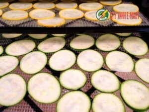 máy sấy nông sản