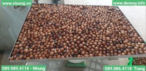 máy sấy nông sản