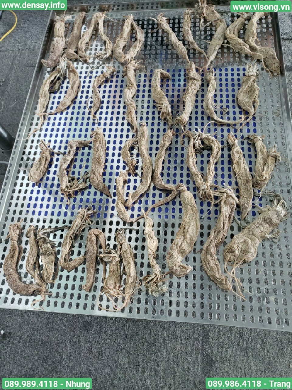 lò vi sóng công nghiệp