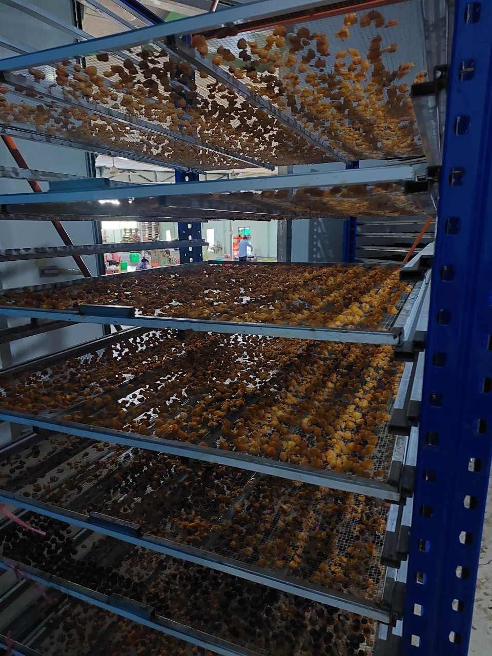 NHÃN TƯƠI SẤY KHÔ