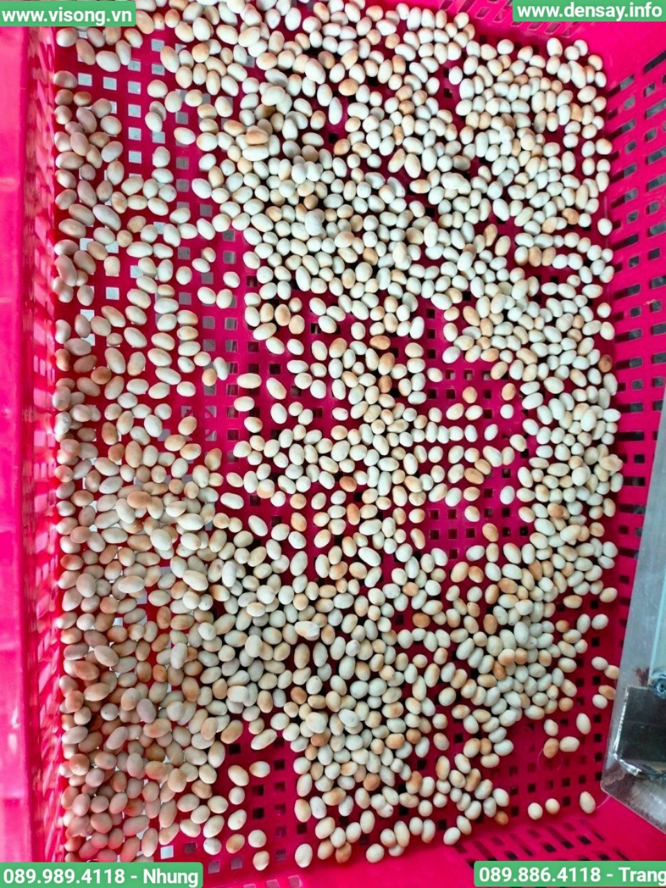 Hệ thống rang đậu phộng