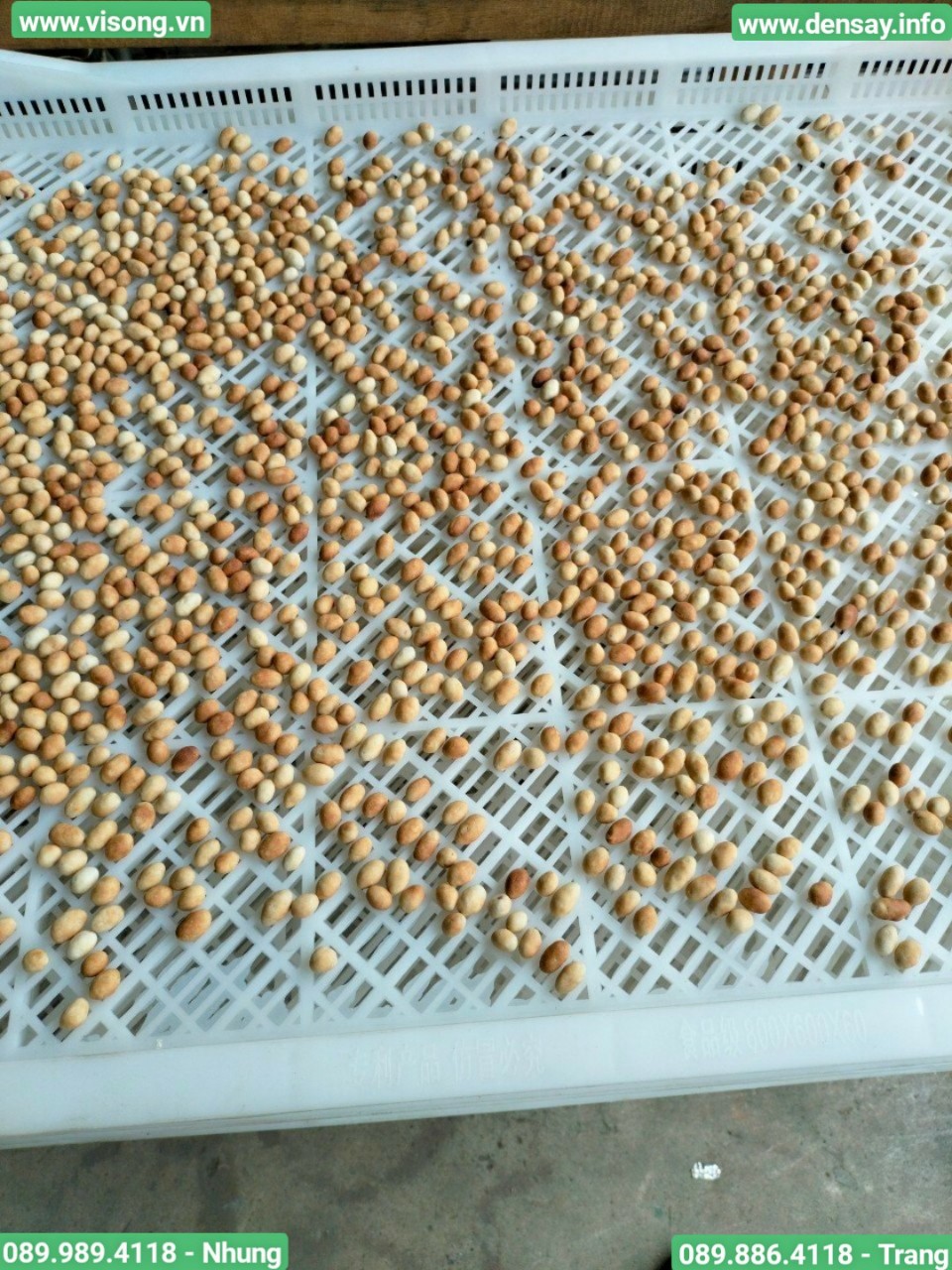 Hệ thống rang đậu phộng