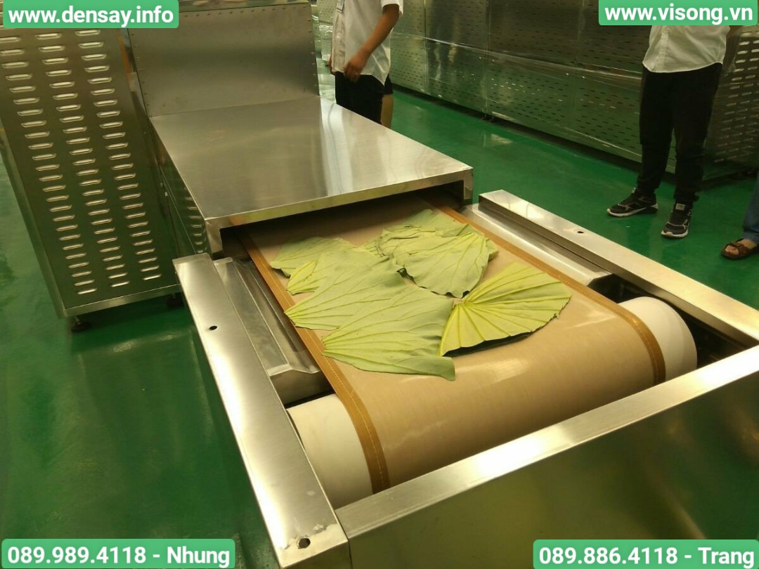 HỆ THỐNG SẤY VI SÓNG DẠNG BĂNG TẢI
