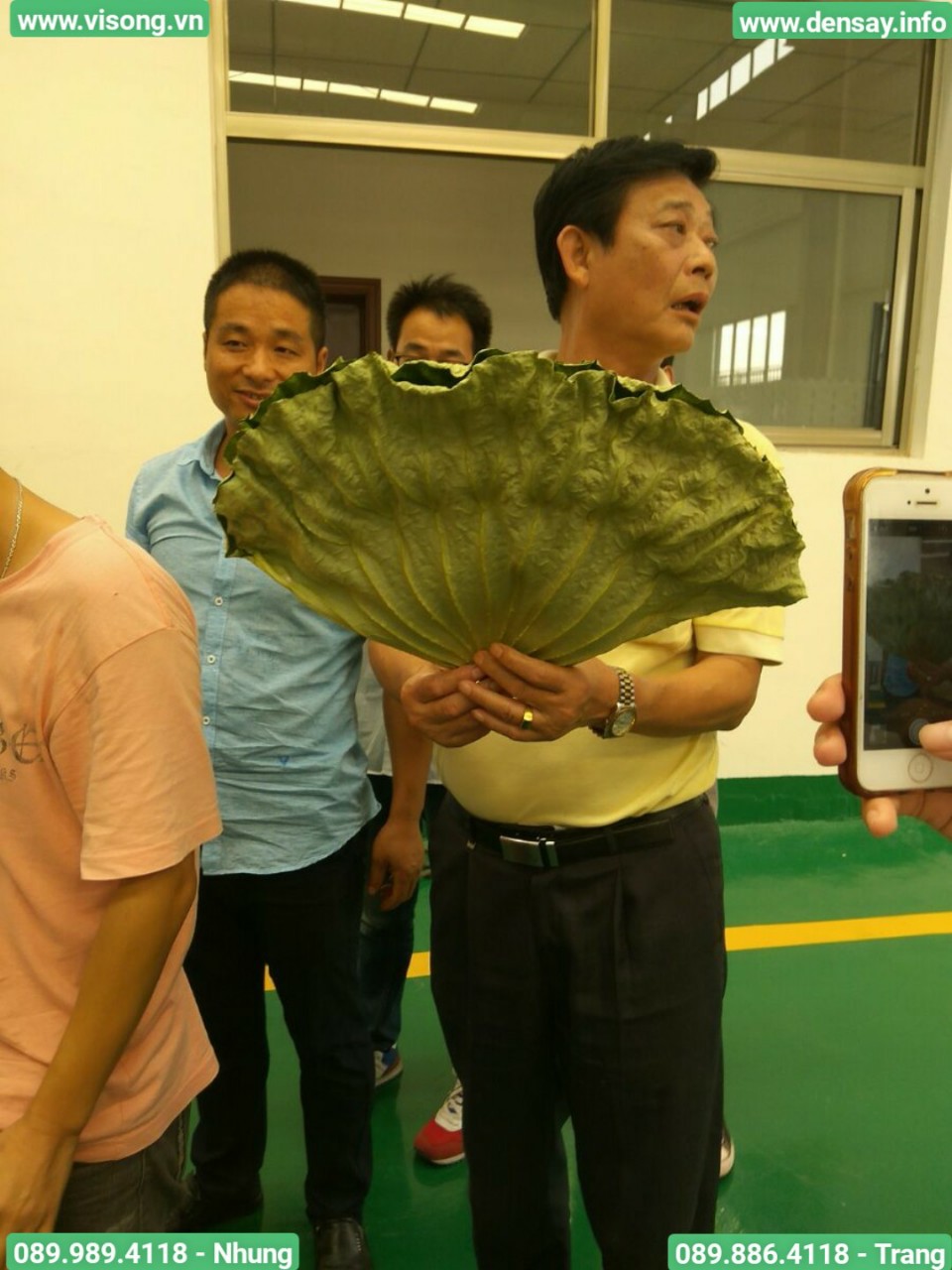 HỆ THỐNG SẤY VI SÓNG DẠNG BĂNG TẢI