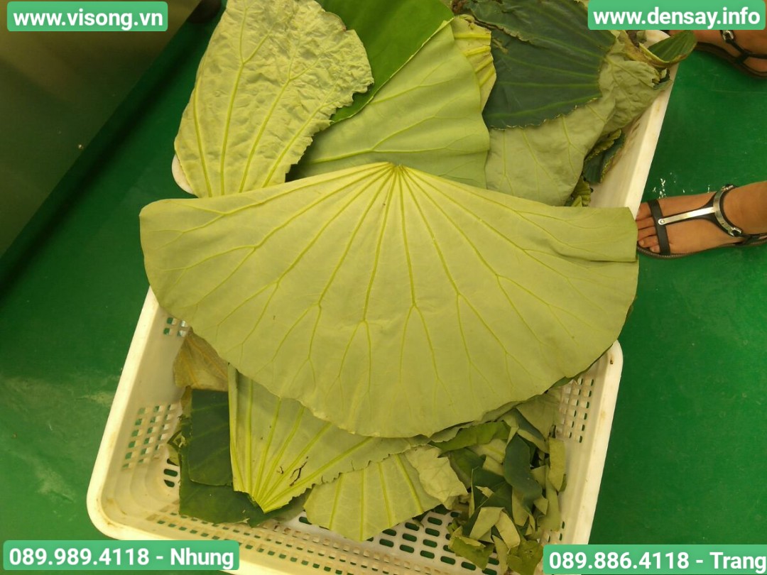 HỆ THỐNG SẤY VI SÓNG DẠNG BĂNG TẢI