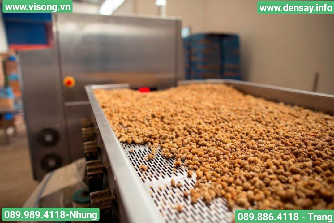 HỆ THỐNG SẤY CÁM VIÊN