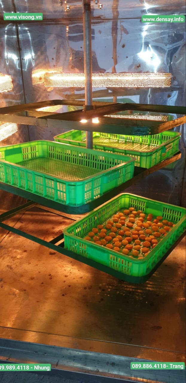 HỆ THỐNG SẤY KHÔ LÒNG ĐỎ TRỨNG GÀ