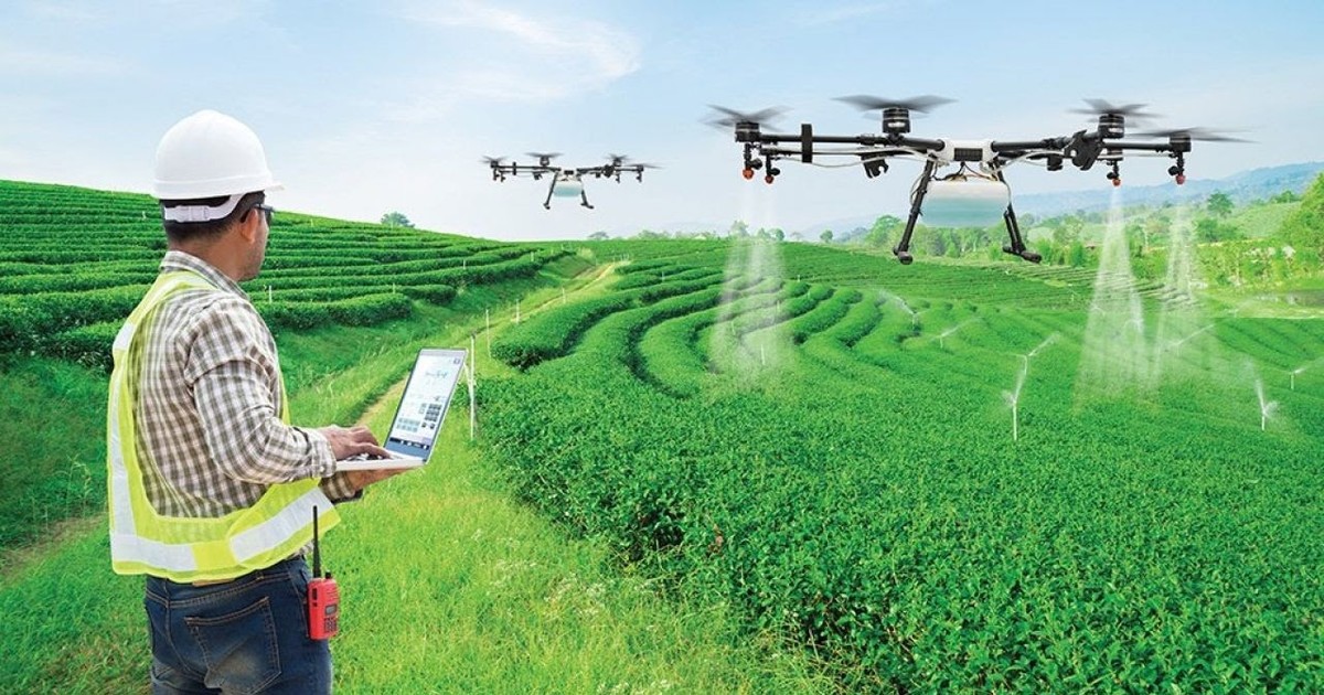 ai điều khiển hệ thống sấy 