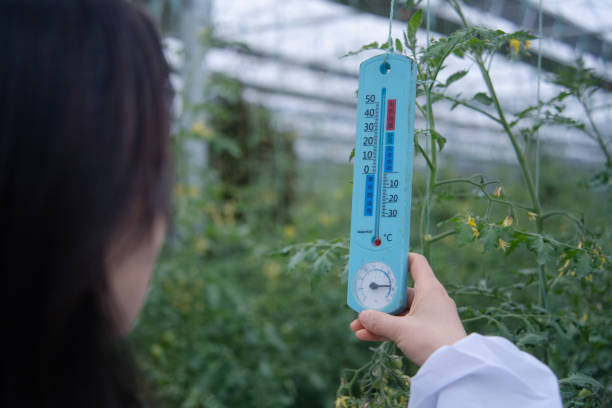 chi phí vận hành máy sấy