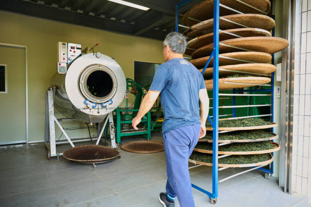 chi phí vận hành máy sấy