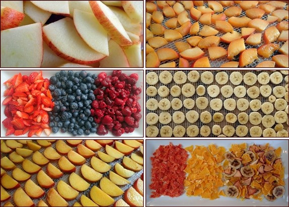 sấy thực phẩm hữu cơ