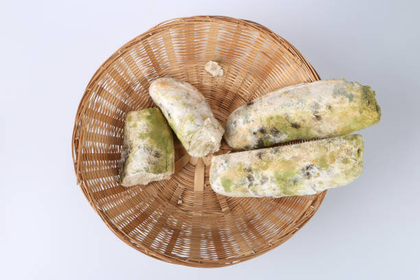 Độ ẩm trong quá trình sấy