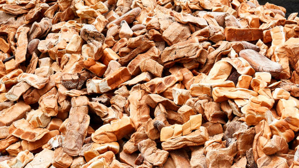Độ ẩm trong quá trình sấy