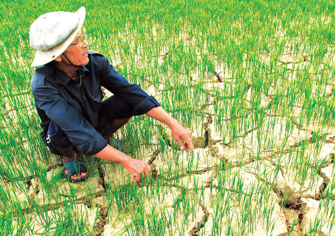 nhiệt độ sấy