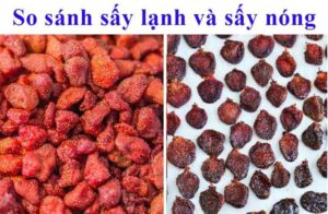 phân biệt máy sấy lạnh và máy sấy nhiệt