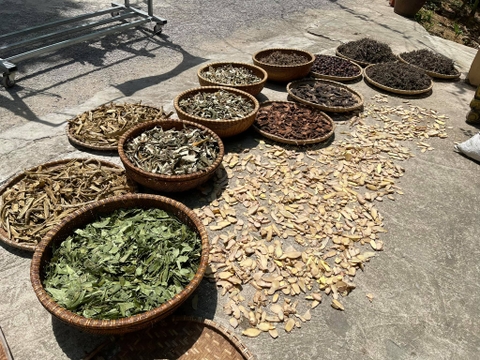 Công nghệ sấy vi sóng cho ngành dược phẩm